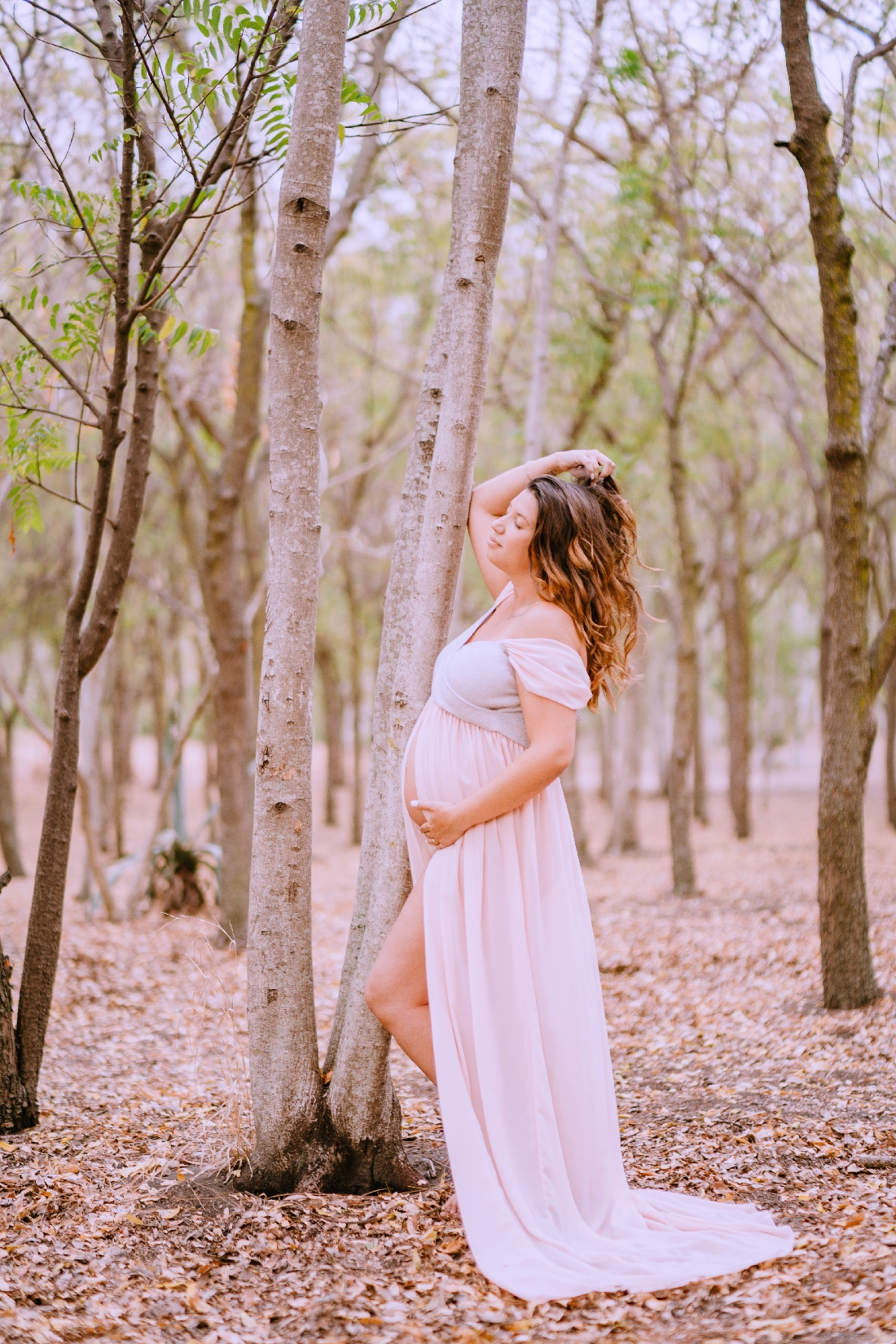 12 - Fôret de l'étang salé (2)